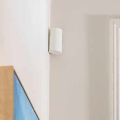 Monroe security motion sensor